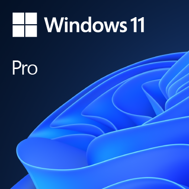 Windows 10/11 Pro