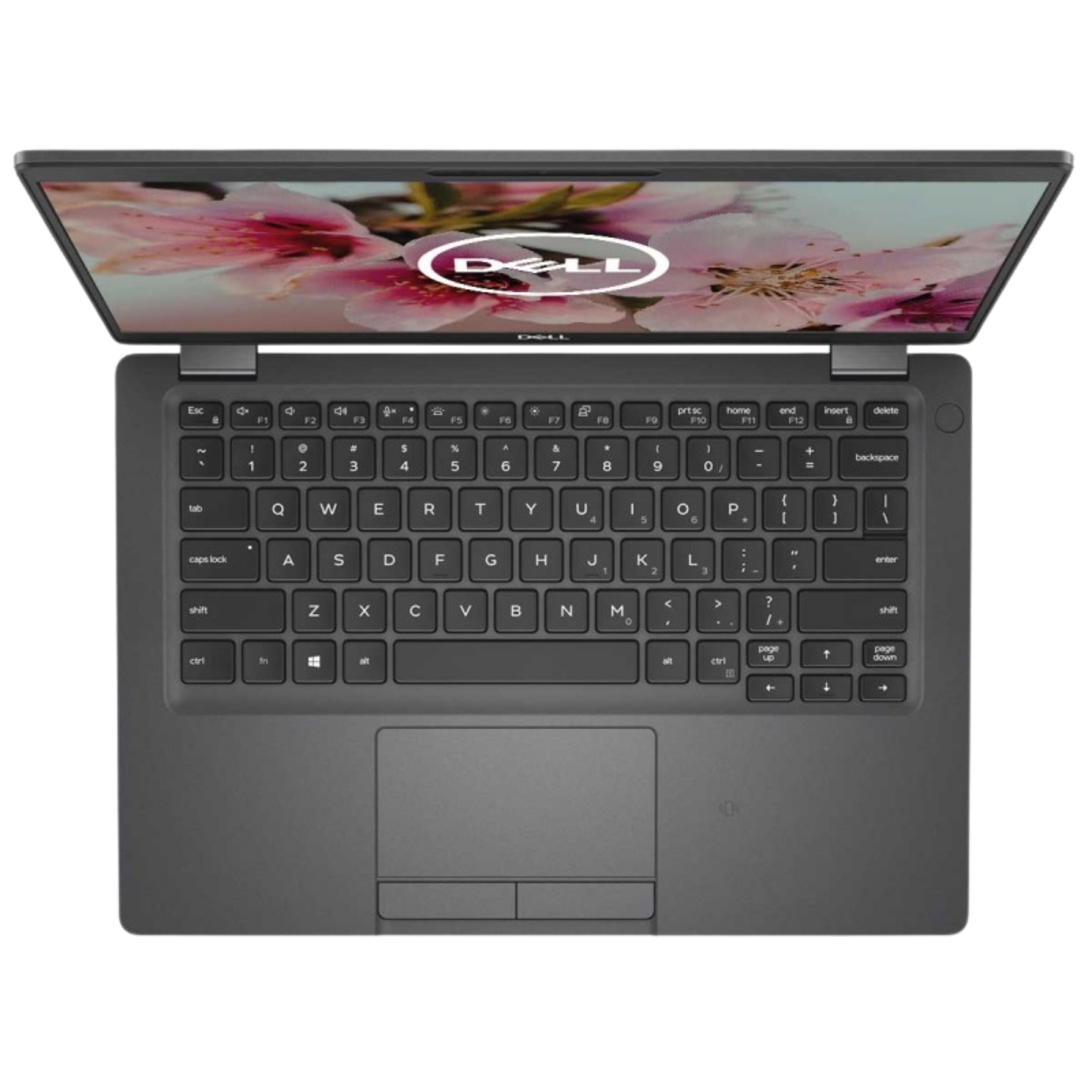 Dell latitude 5300 | i7 8665U | 16Gb Ram | 512Gb Nmve | Windows 11 Pro | Táctil
