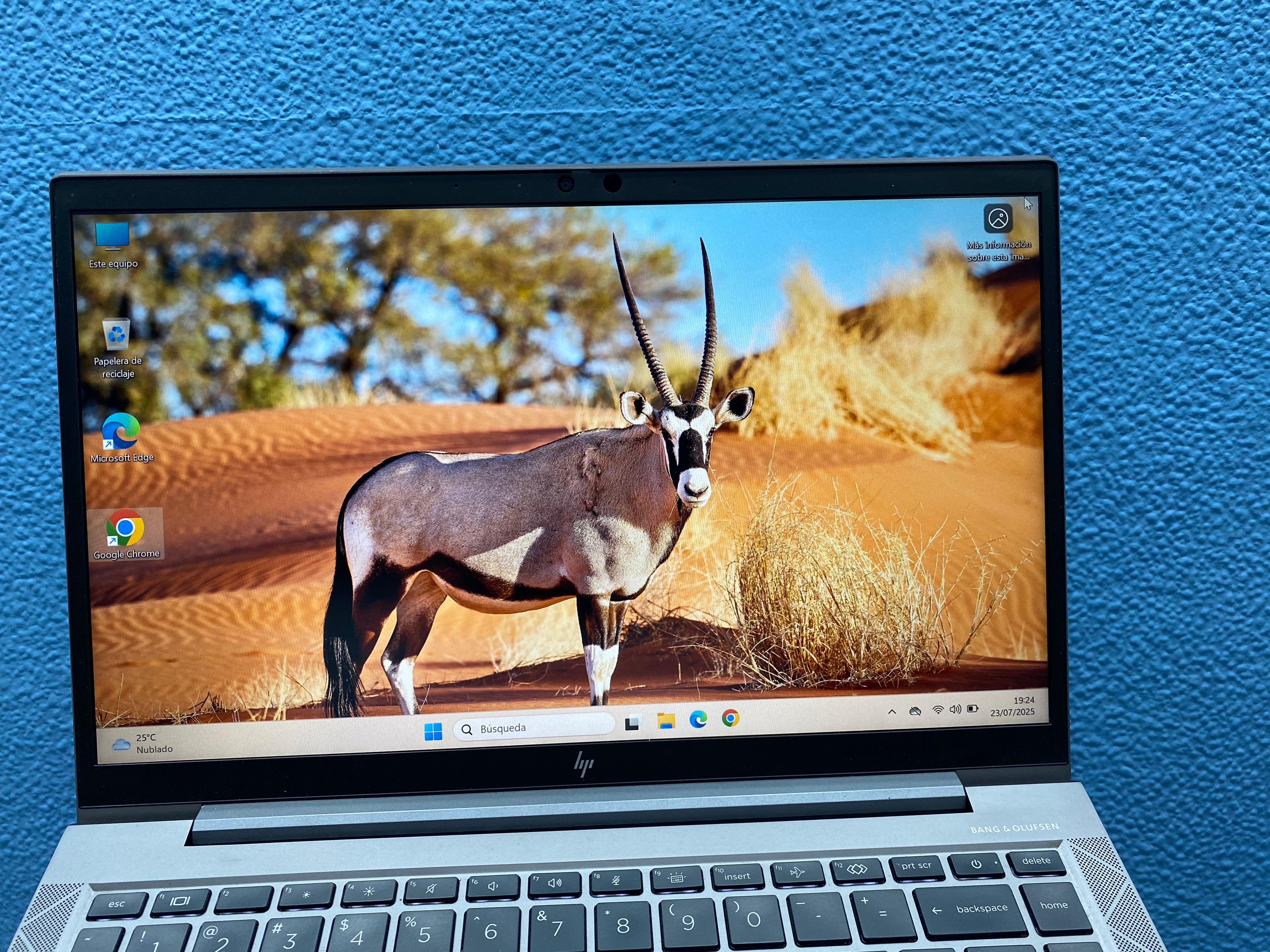 ¡¡ OFERTA !! HP ZBOOK FIREFLY 14 G7 | INTEL CORE I7 10610U | 32 GB RAM | 512 GB NVMe | NVIDIA QUADRO P520 4GB | WIN 11 PRO | OFFICE 2024